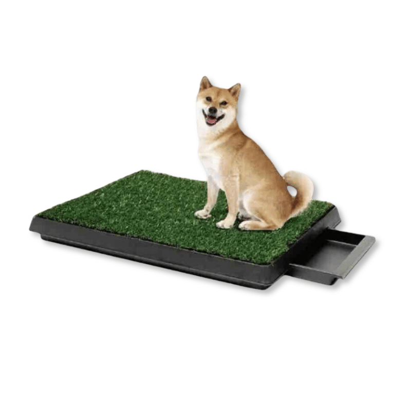 Baño Sanitario Para Perros De Pasto Sintético TOPET Shop